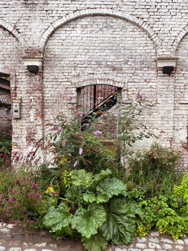 Wagenhuys tuin border IMG 9097 low