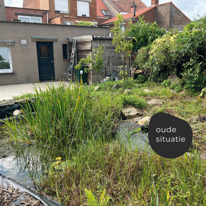 Oorspronkelijke toestand tag