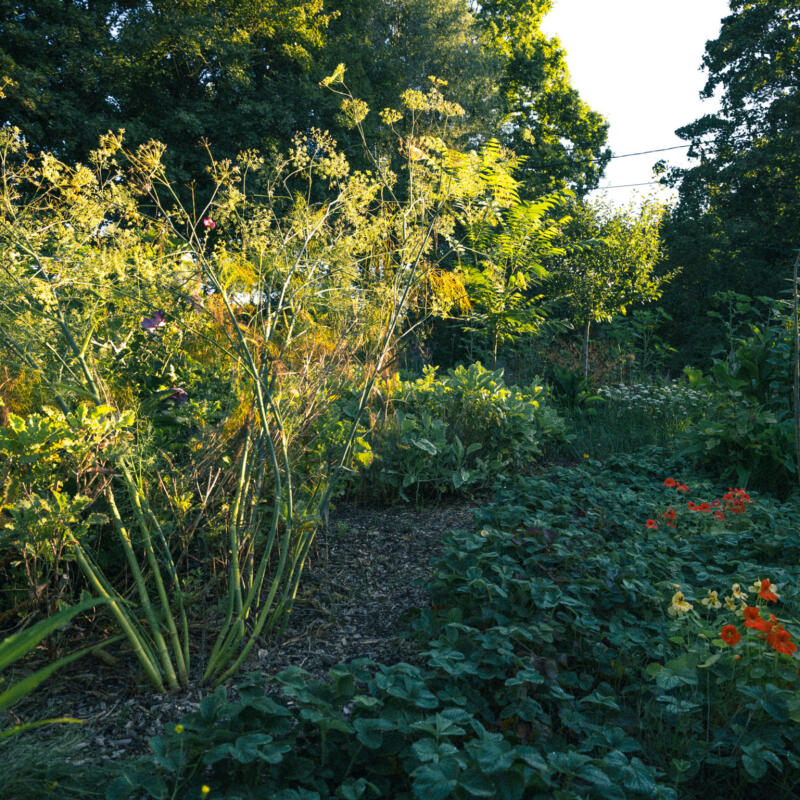 Be Factory 05 lowjpg