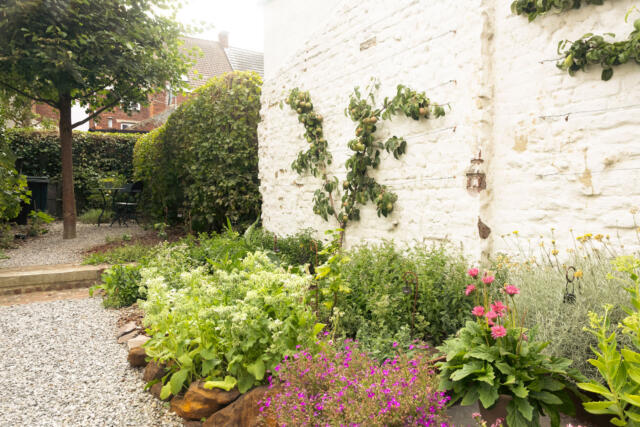 BF Tuin Nomad 003 low
