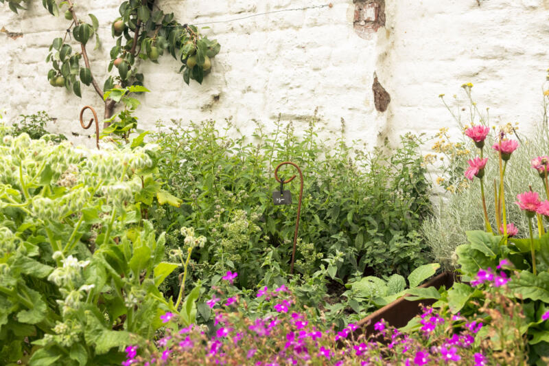 BF Tuin Nomad 004 low