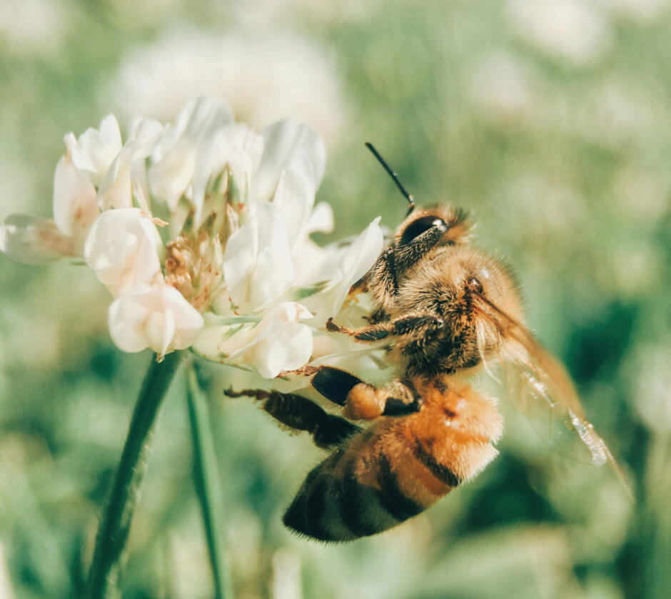 Aaron burden 2xh OYKK j AM unsplashlow